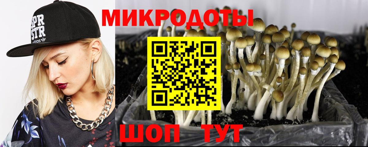 Галлюциногенные грибы мухоморы  Галлюциногенные грибы Psilocybine cubensis  Вход с VPN  Ярославль 